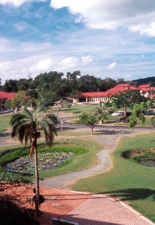 Albert A. Sheen campus walk way