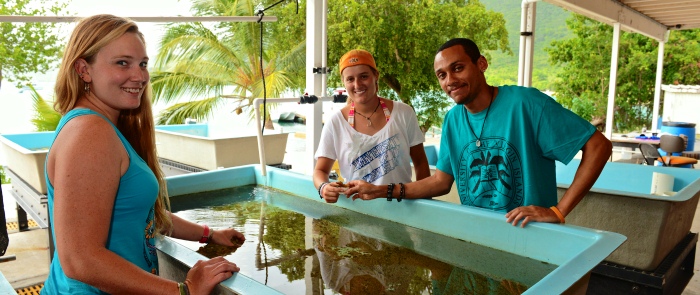 UVI’s research facilities at MacLean Marine Science Center