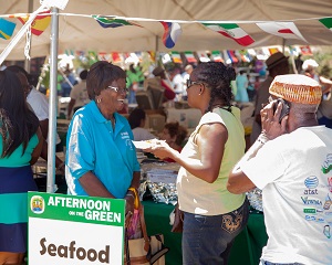 Afternoon on the Green is a friendraiser