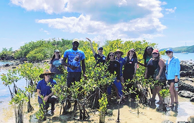 The groups examine and celebrate all of the red mangrove growth at the Virgin Islands Marine Advisory Service’s planting site Range Cay, USVI.