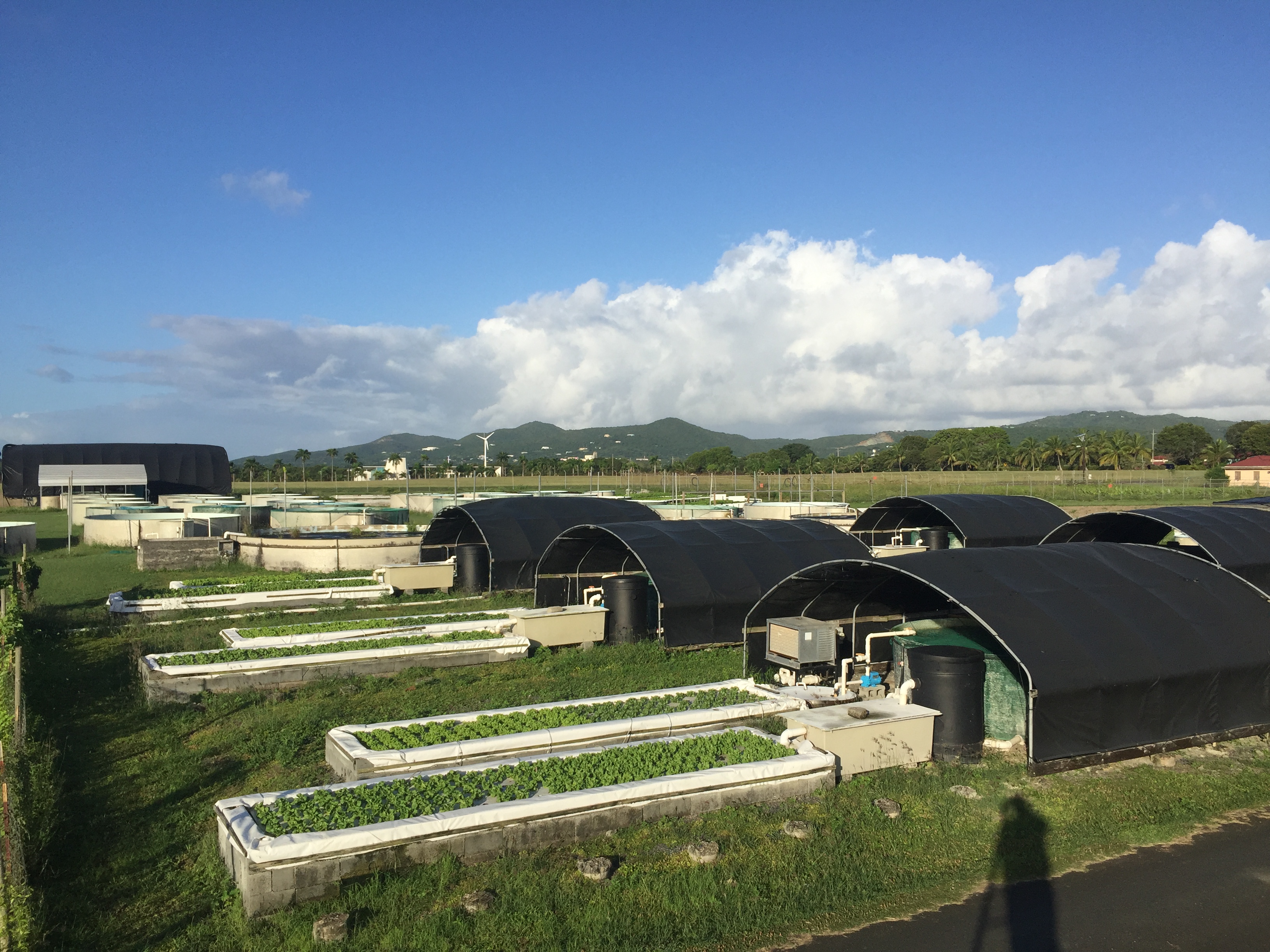 UVI Aquaculture Facility