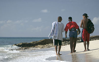 UVI students on a beach