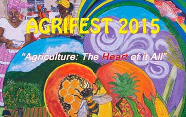 University of the Virgin Islands Agrifest photo