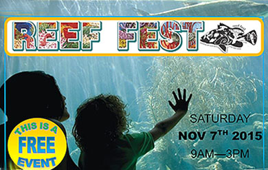 Reef Fest poster