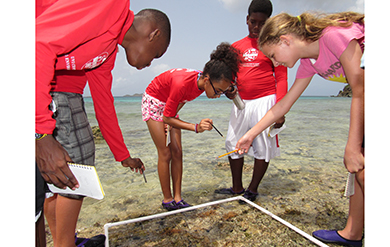 YOE students are assessing the variety of different marine life found in the nearshore environment. This includes urchins, crabs, snails, etc 