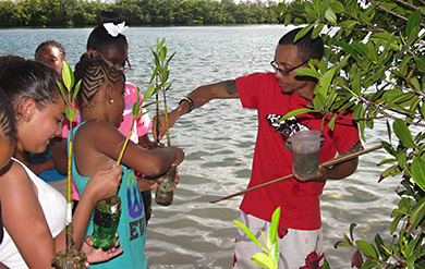 Students participate in Marine and Environmental Science Learning