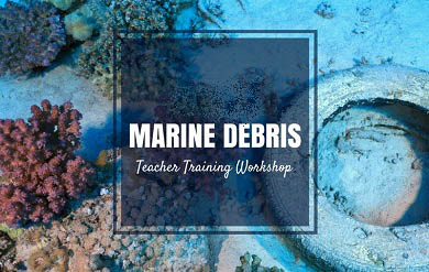 Photo Promoting Teacher Marine Debris Worshop