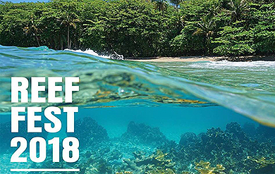 University of the Virgin Islands Reef Fest 2018 Logo