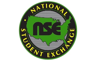 nse logo