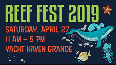 Reef Fest 2019 Flyer