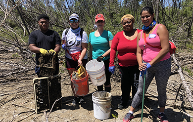 Participants from the community gather data from the Great Mangrove Clean-up