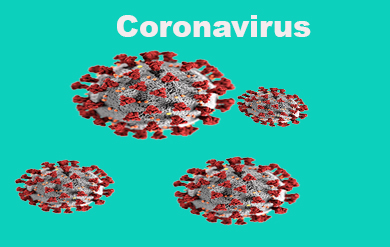 coronavirus germ