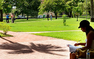 Trees in galore on the Albert A. Sheen Campus on St. Croix