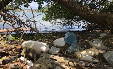 St. John Mangrove Cleanup 2022